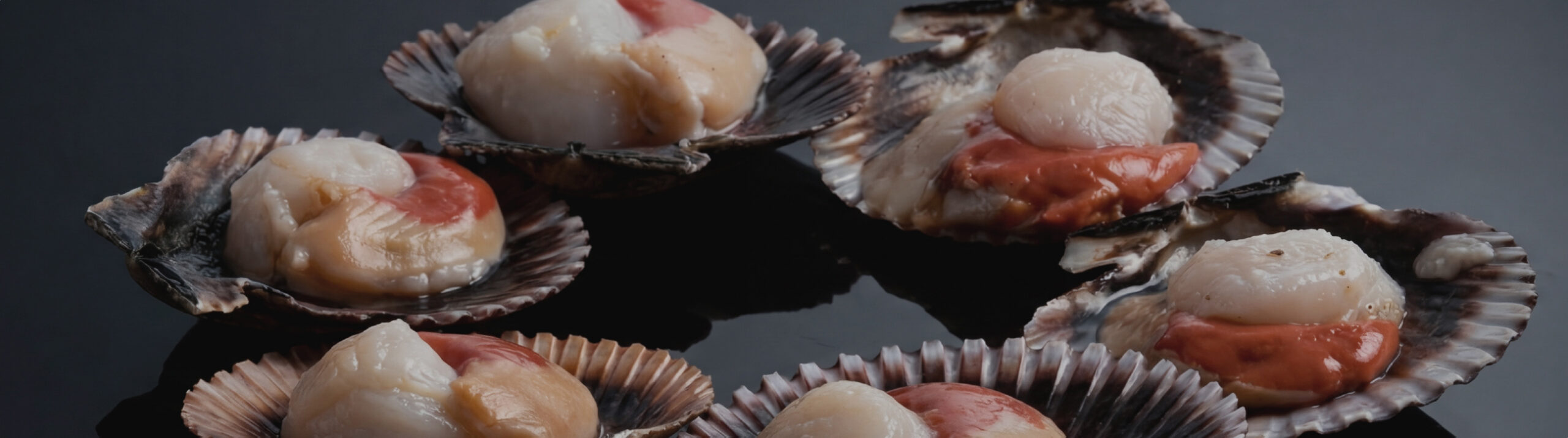 Scallop – Simple Fast Food That Needs No Complex Techniques