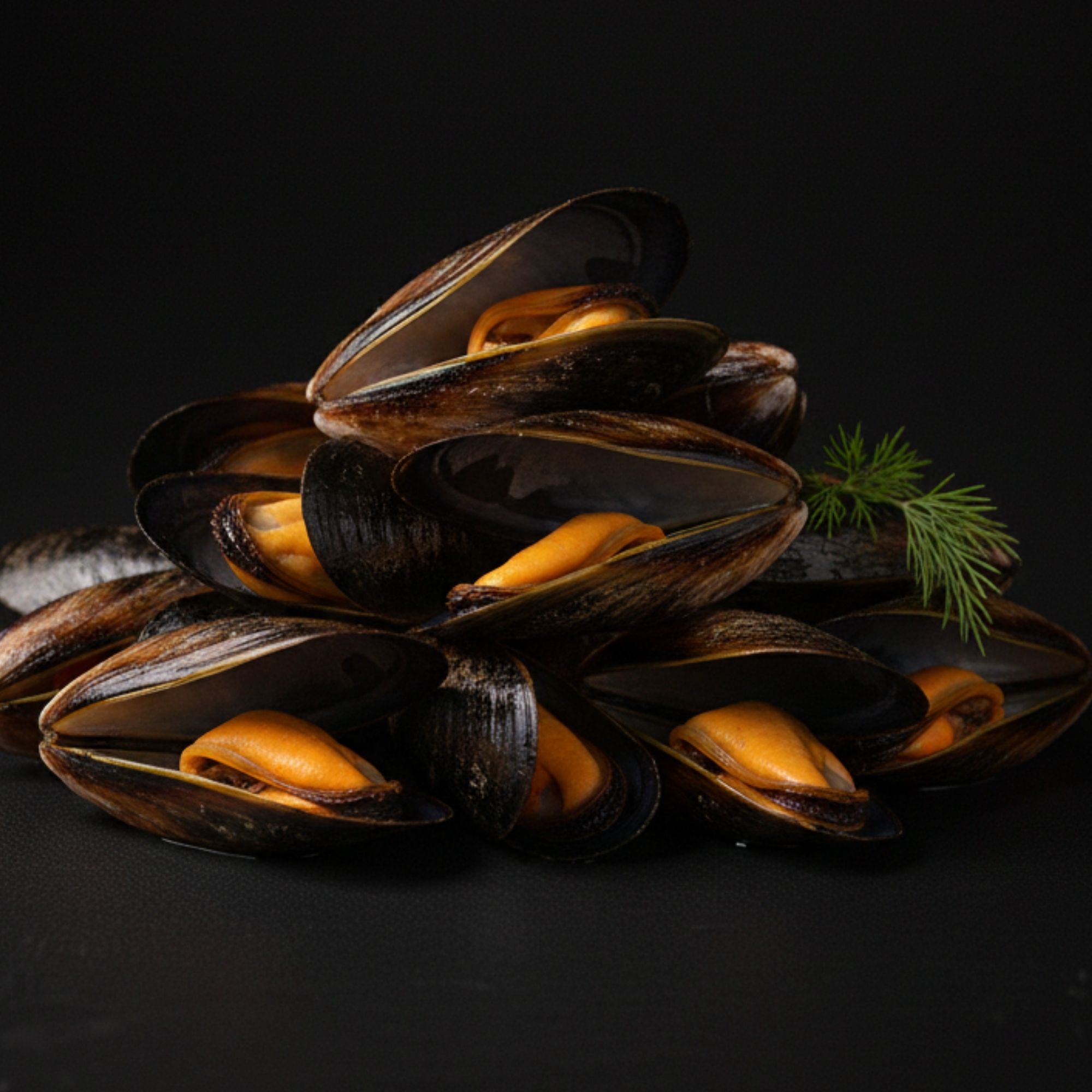 Chilean mussels